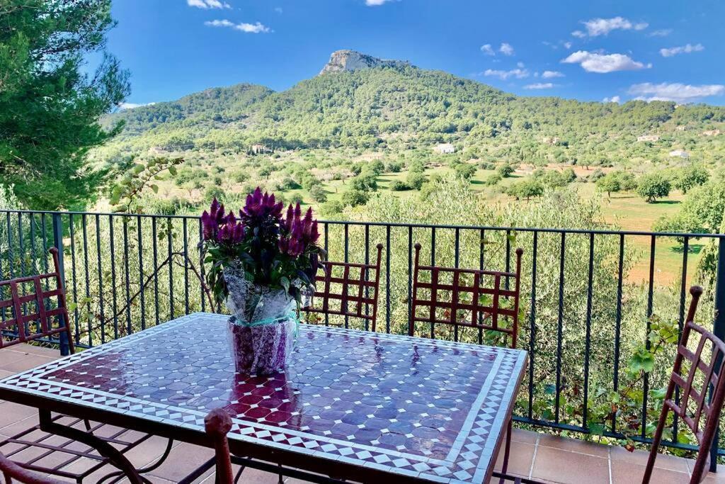 Es Castell De Ca N'Alou De Ses Cases Noves S'Horta Exteriér fotografie