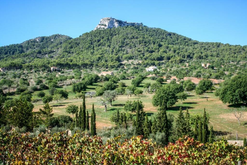 Es Castell De Ca N'Alou De Ses Cases Noves S'Horta Exteriér fotografie